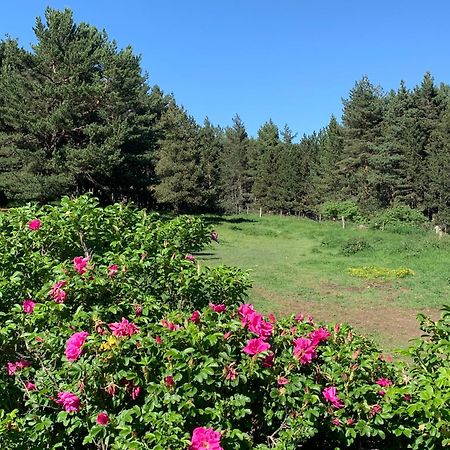 ليز أونجليه Gite Ranch Le Serpolet المظهر الخارجي الصورة