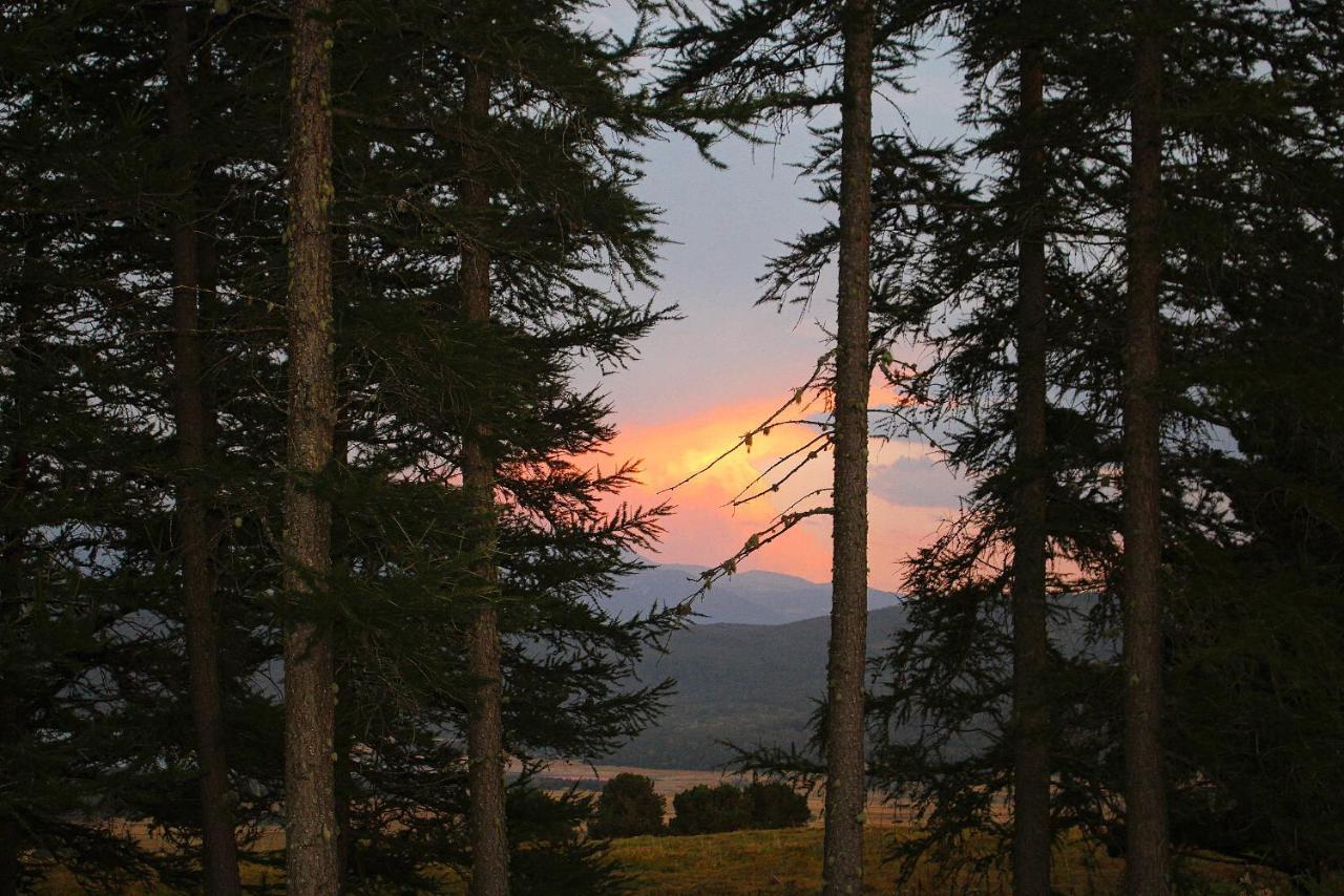 ليز أونجليه Gite Ranch Le Serpolet المظهر الخارجي الصورة