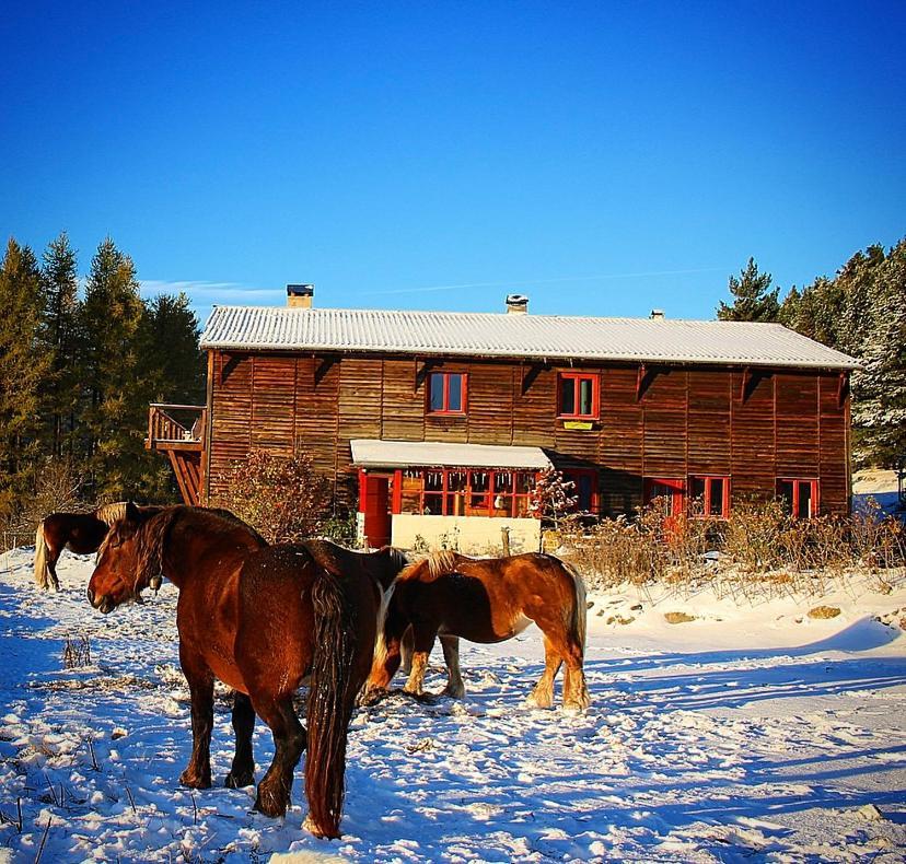 ليز أونجليه Gite Ranch Le Serpolet المظهر الخارجي الصورة