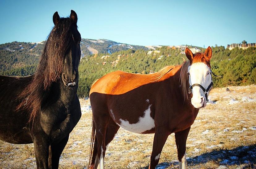 ليز أونجليه Gite Ranch Le Serpolet المظهر الخارجي الصورة