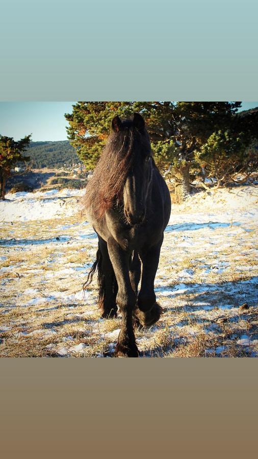 ليز أونجليه Gite Ranch Le Serpolet المظهر الخارجي الصورة