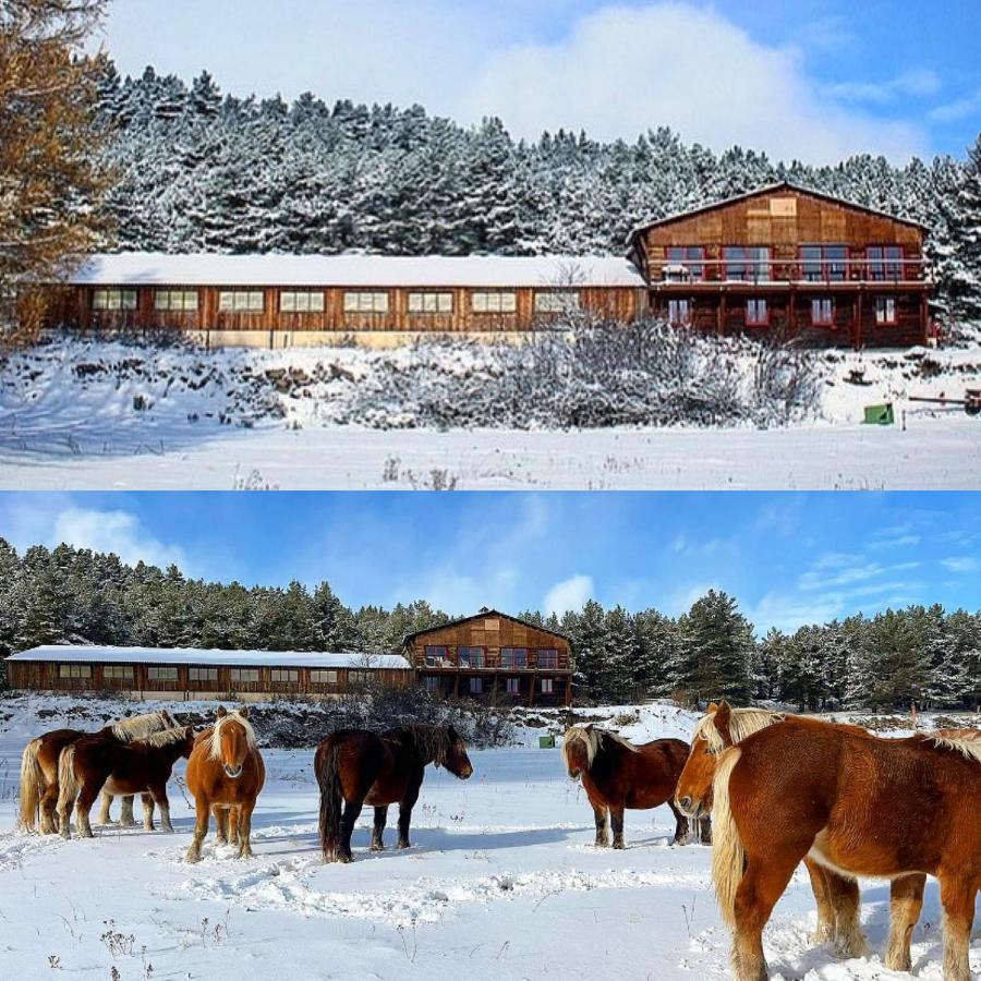 ليز أونجليه Gite Ranch Le Serpolet المظهر الخارجي الصورة
