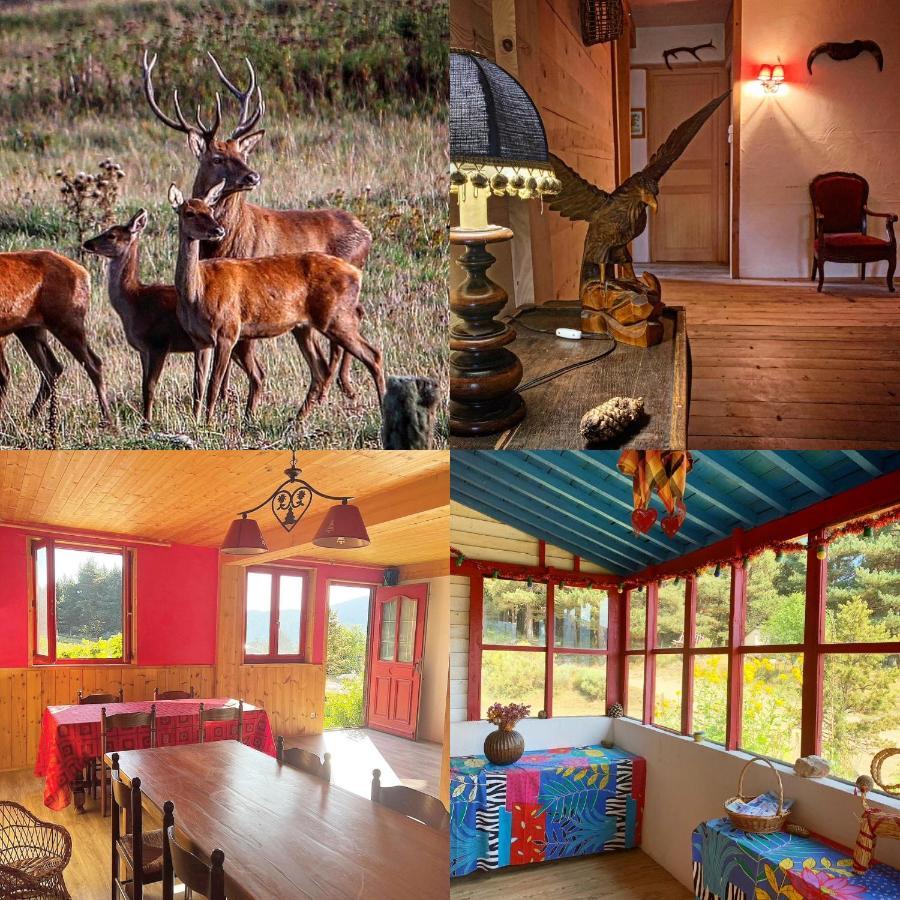 ليز أونجليه Gite Ranch Le Serpolet المظهر الخارجي الصورة