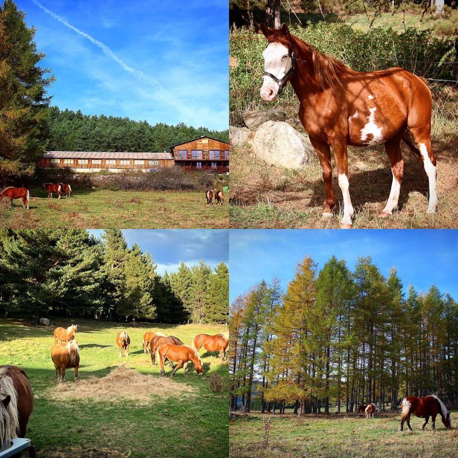 ليز أونجليه Gite Ranch Le Serpolet المظهر الخارجي الصورة
