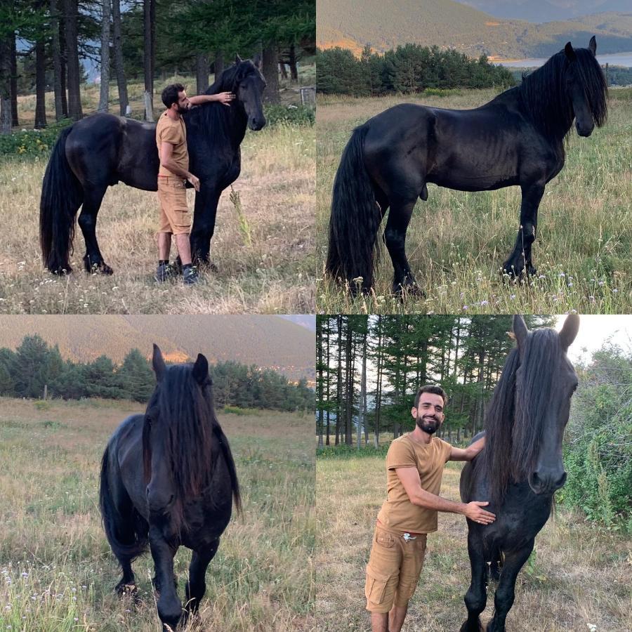 ليز أونجليه Gite Ranch Le Serpolet المظهر الخارجي الصورة