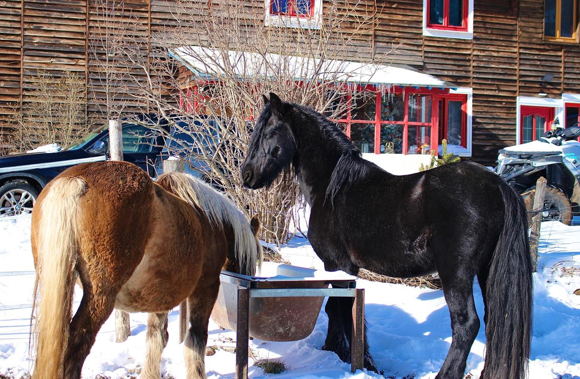 ليز أونجليه Gite Ranch Le Serpolet المظهر الخارجي الصورة