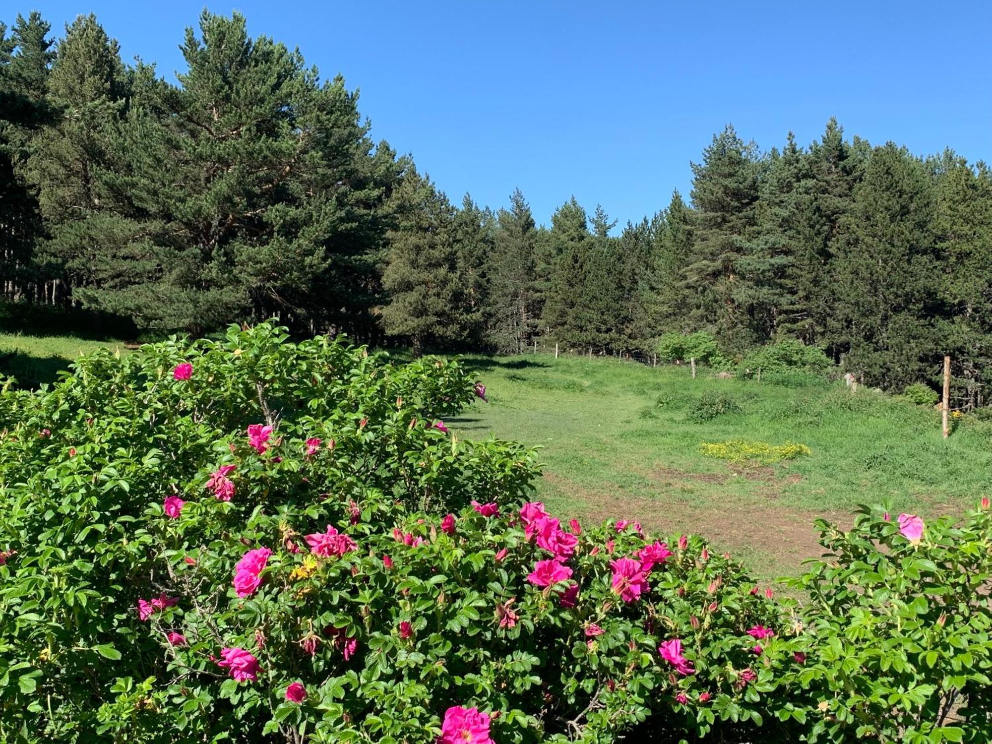 ليز أونجليه Gite Ranch Le Serpolet المظهر الخارجي الصورة